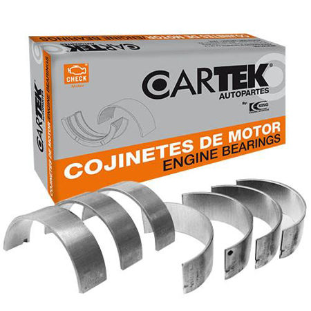 Picture for category Bearings