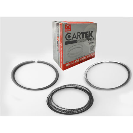 Picture for category Piston Rings