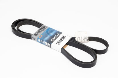 Picture of MICRO-V SERPENTINE DISTRIBUTION BELT FOR F150 5.3 2010 by FORD